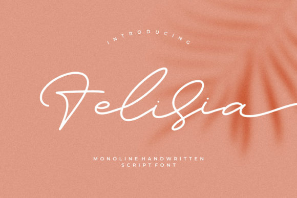 Felisia: The Script Font That Elevates Your Campaign Visuals