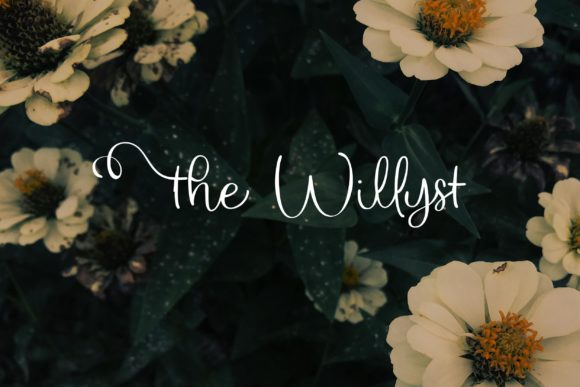 The Willyst: A Font for Polished Branding