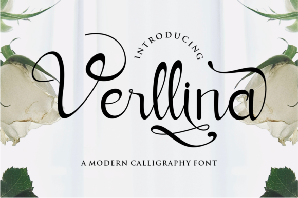 Verllina: A Script Font for Real-World Design